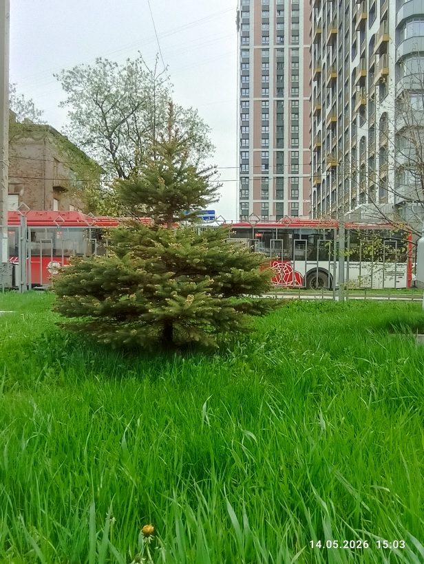 Чегодаев Александр Григорьевич